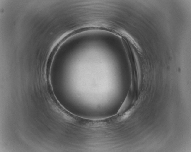 X0000080730884200612151221