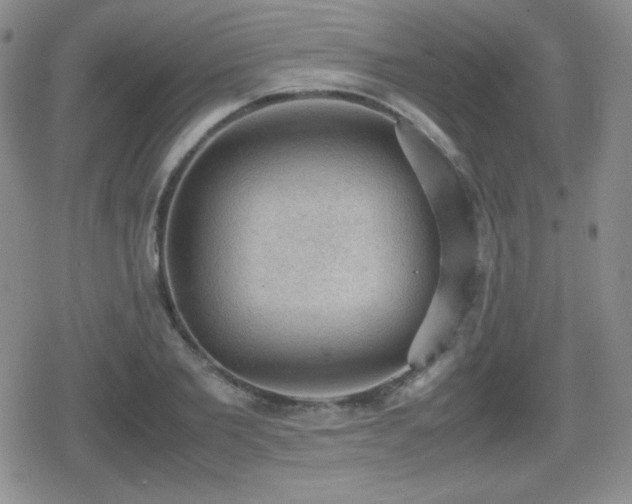 X0000080730885200612151221