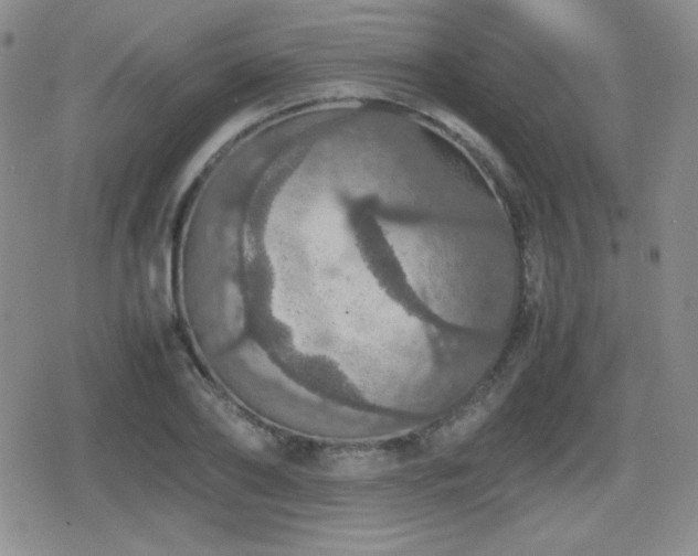 X0000080730886200612151221