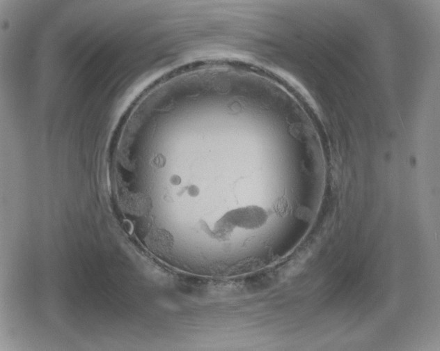 X0000080730887200612151221