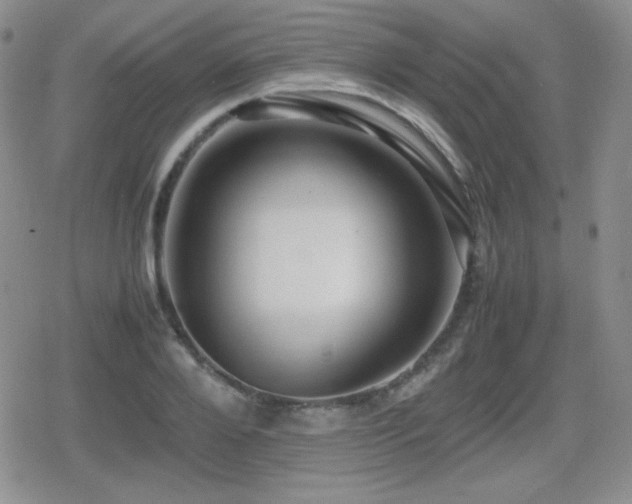 X0000080730888200612151221