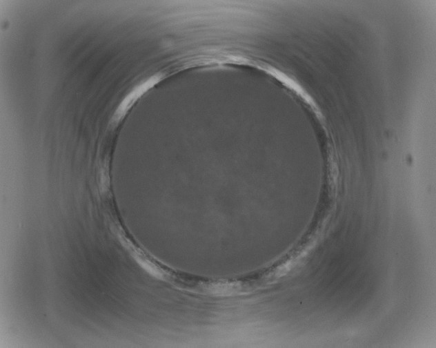 X0000080730889200612151221