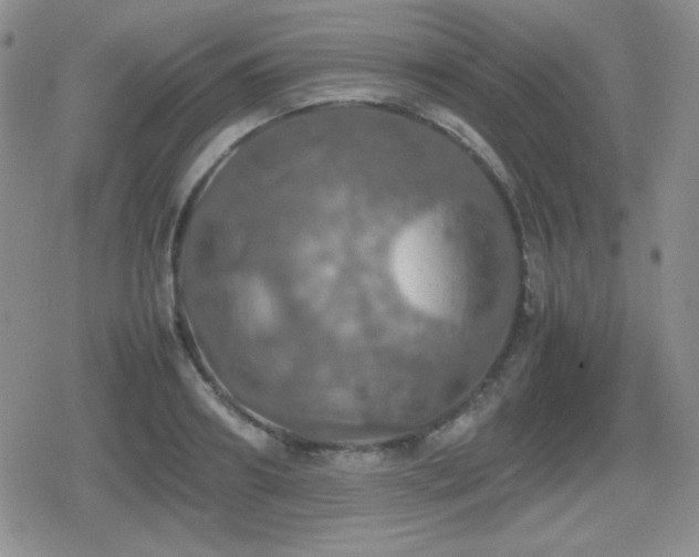 X0000080730890200612151221