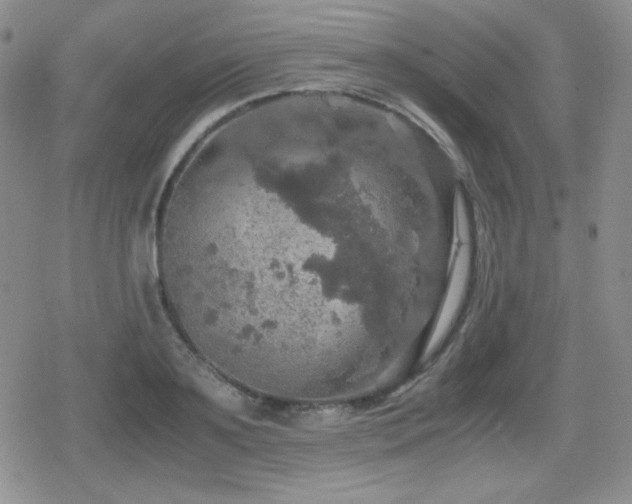 X0000080730891200612151221