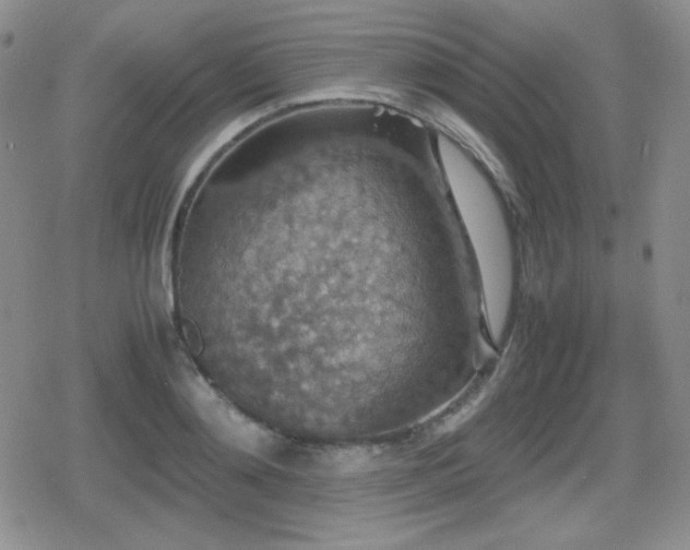 X0000080730892200612151221