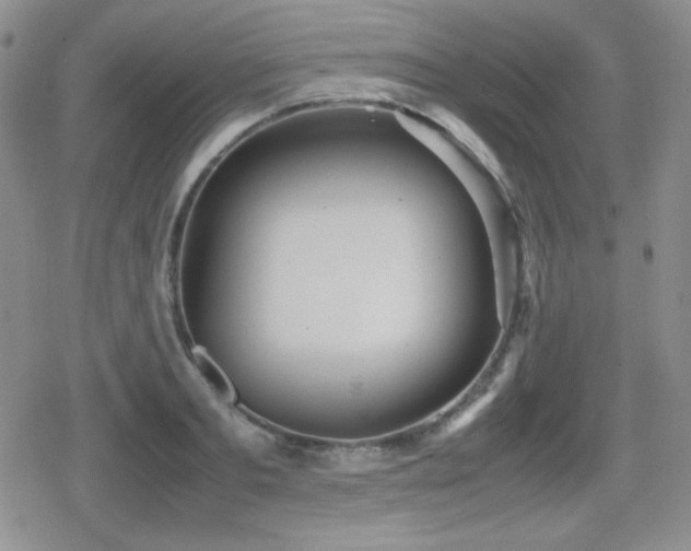 X0000080730893200612151221