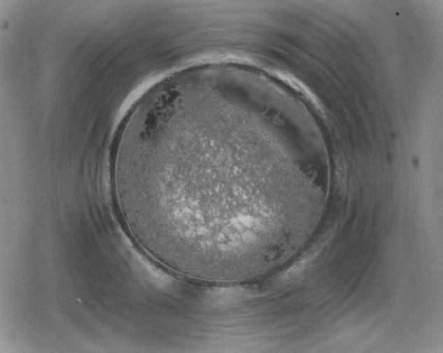 X0000080730894200612151221