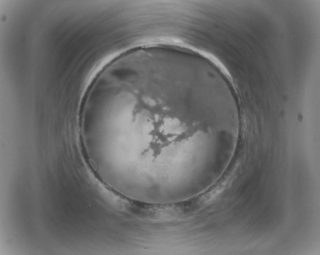 X0000080730895200612151221