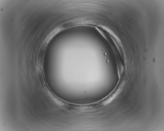 X0000080730897200612151221