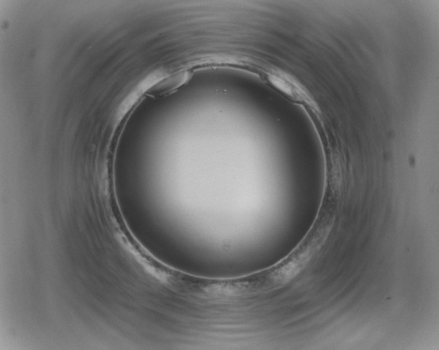 X0000080730898200612151221