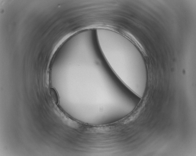 X0000080730900200612151221