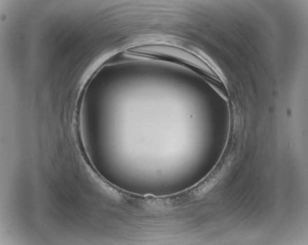 X0000080730901200612151221