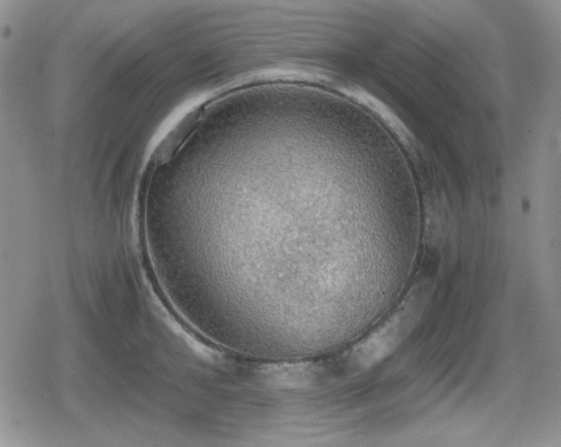 X0000080730902200612151221