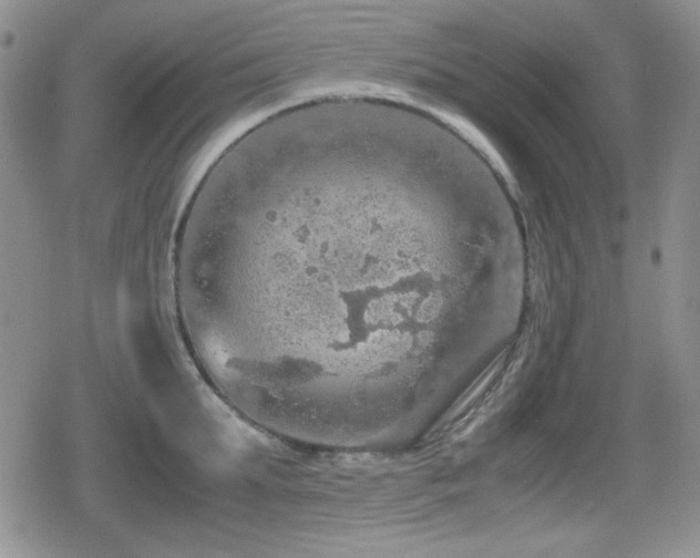 X0000080730903200612151221