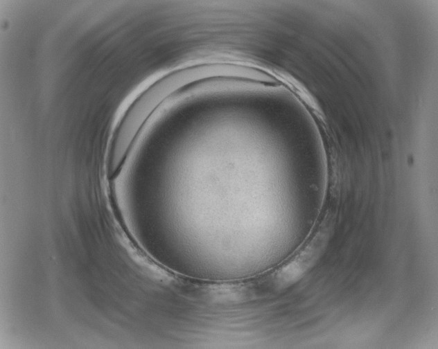 X0000080730904200612151221