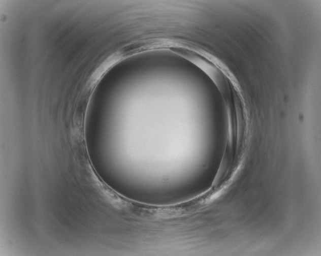 X0000080730905200612151221