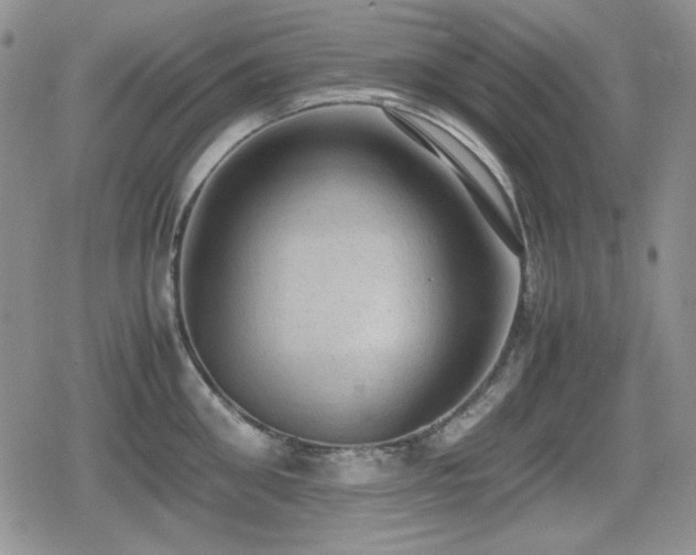 X0000080730906200612151221