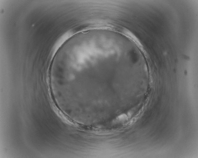 X0000080730907200612151221