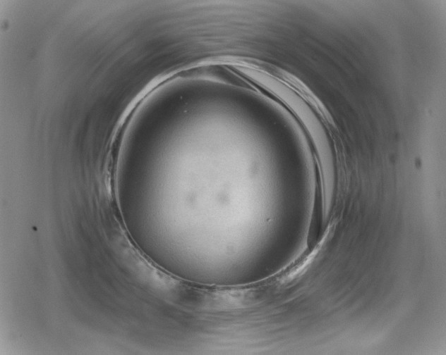 X0000080730908200612151221