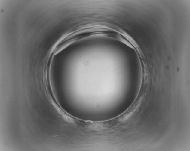 X0000080730909200612151221