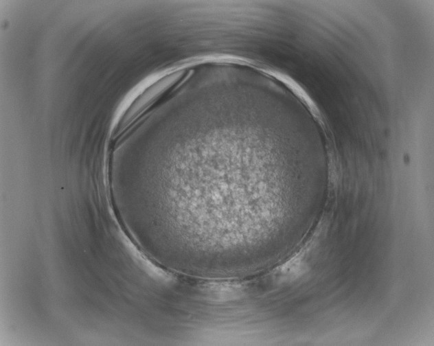 X0000080730910200612151221