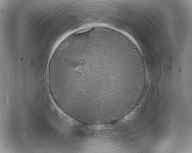 X0000080730911200612151221