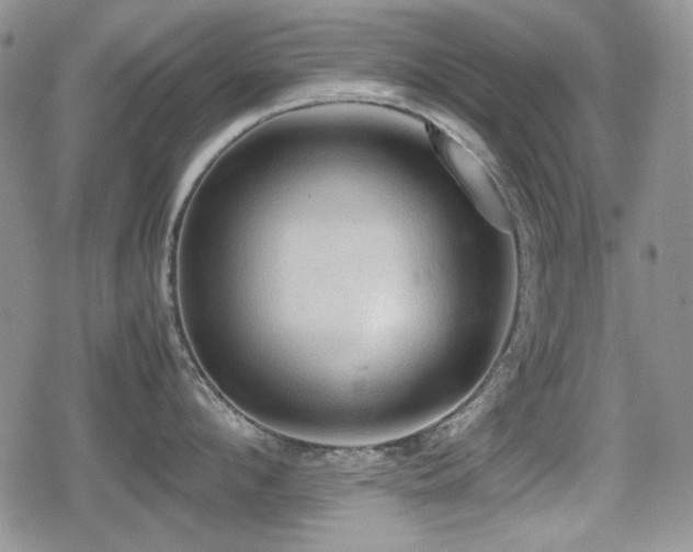 X0000080730912200612151221