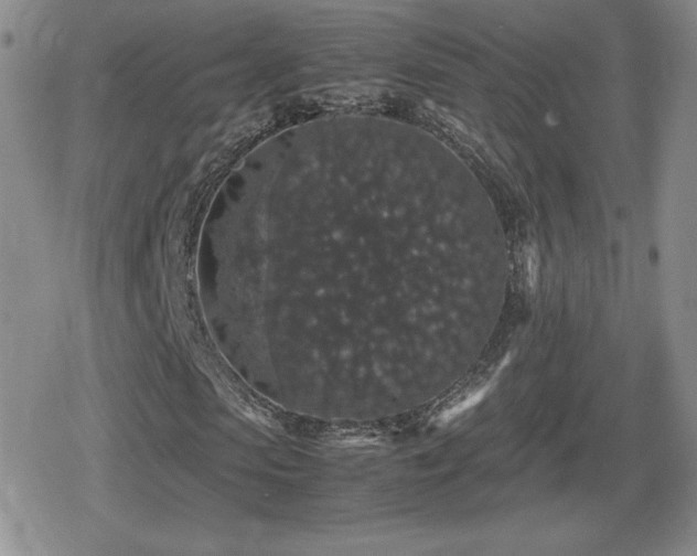 X0000080730913200612151220