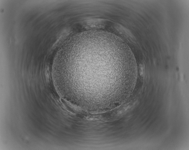 X0000080730915200612151220