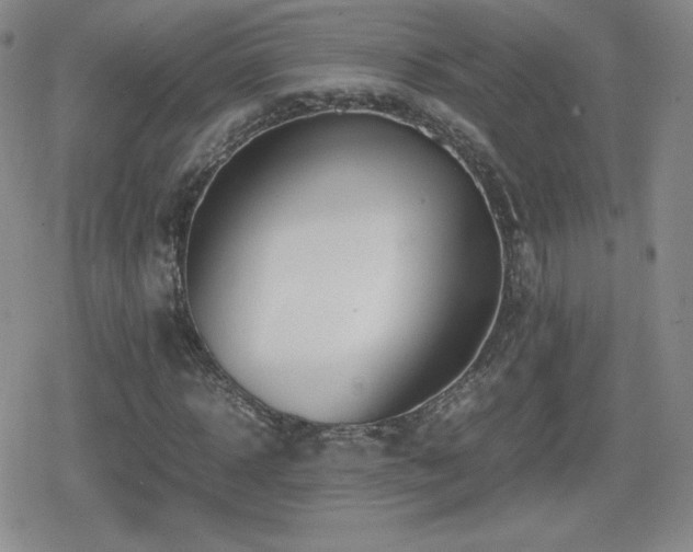 X0000080730918200612151220