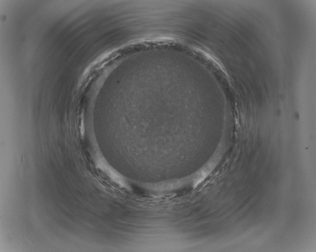 X0000080730920200612151220