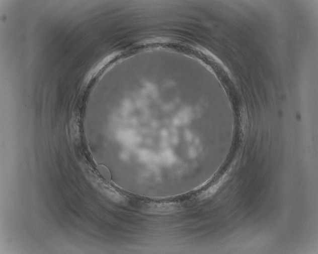 X0000080730921200612151220