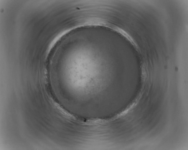 X0000080730926200612151220