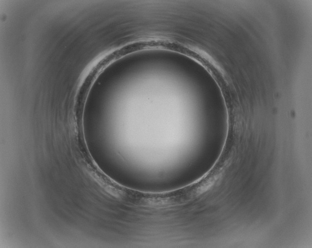 X0000080730927200612151220