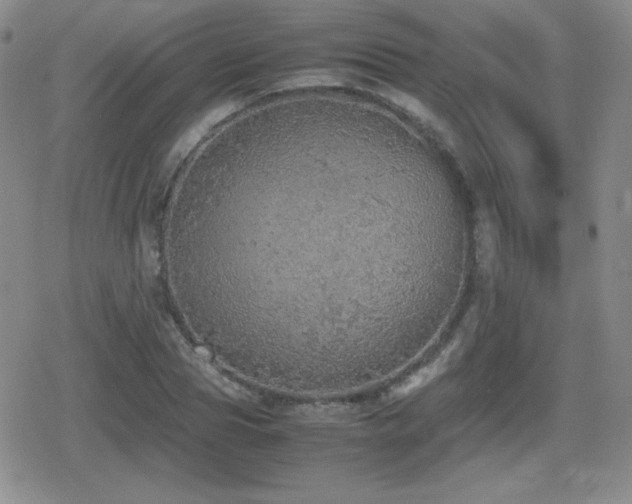 X0000080730929200612151220