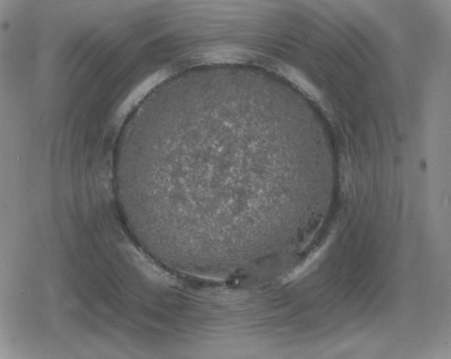 X0000080730930200612151220