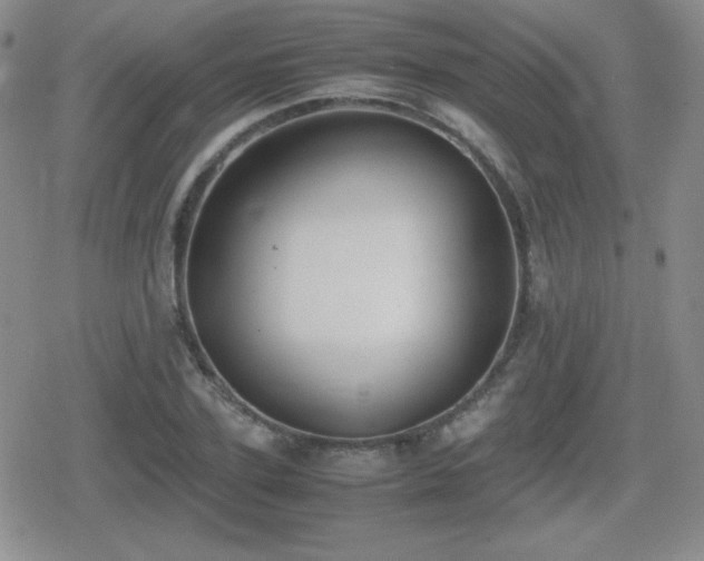 X0000080730931200612151220