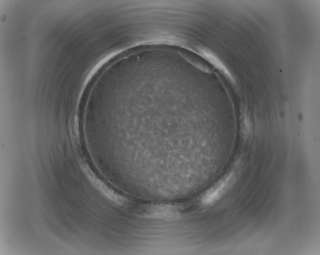 X0000080730932200612151220