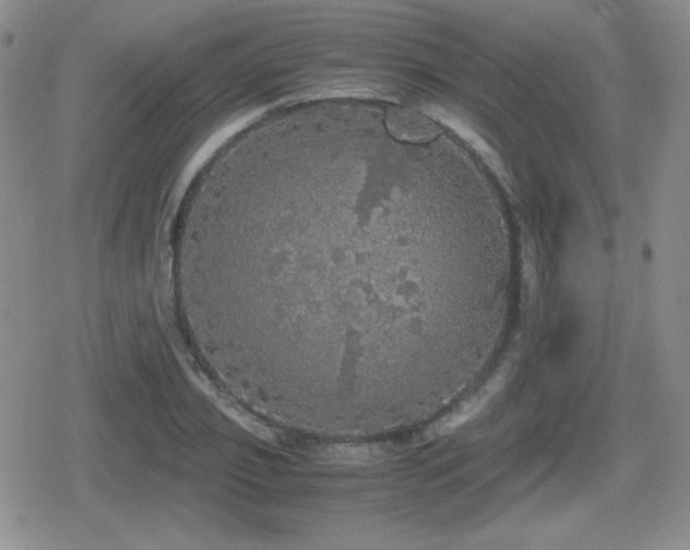 X0000080730933200612151220