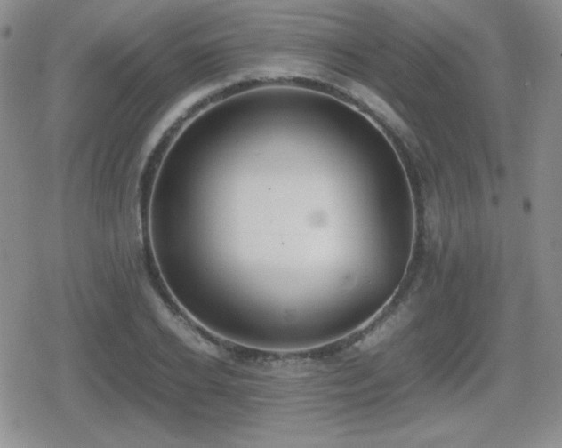 X0000080730934200612151220