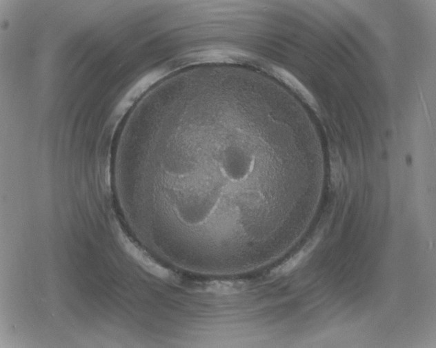 X0000080730938200612151220