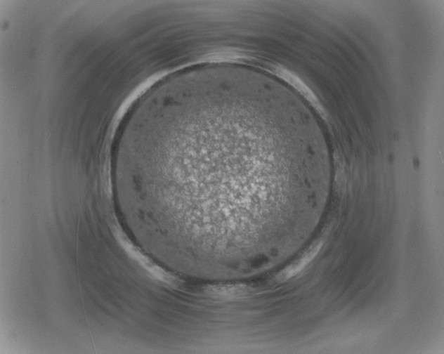 X0000080730939200612151220