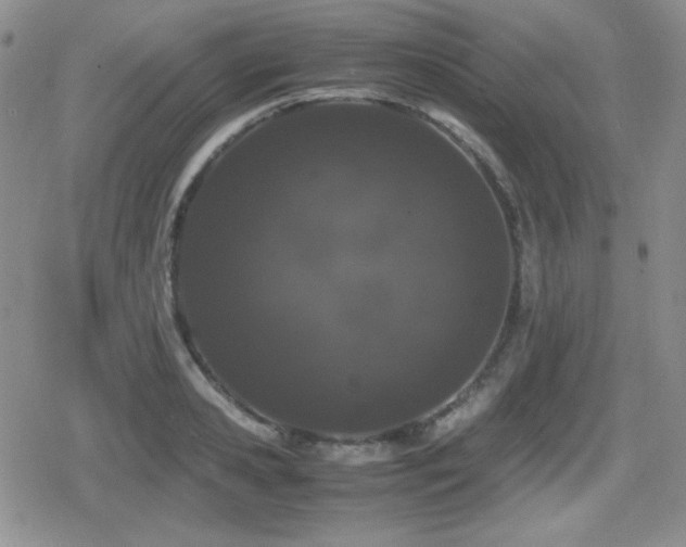 X0000080730941200612151220