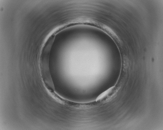 X0000080730942200612151220