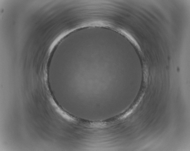 X0000080730944200612151221