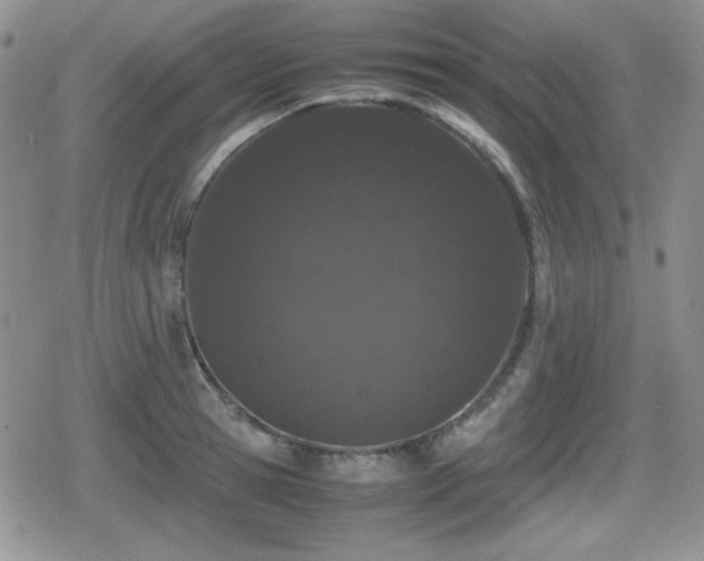 X0000080730945200612151221