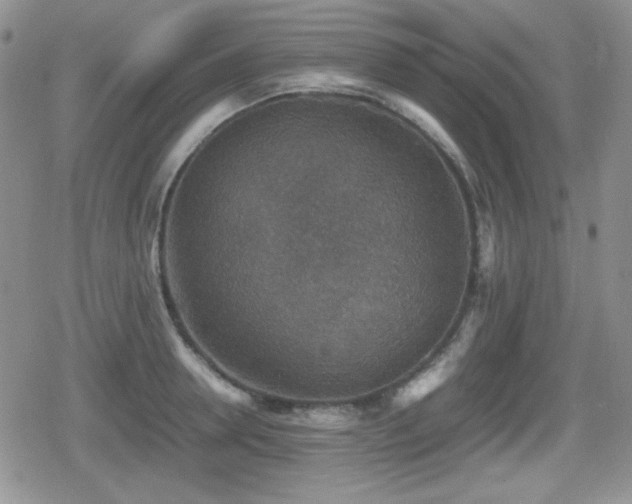 X0000080730946200612151221