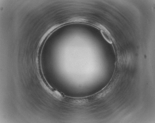 X0000080730947200612151221