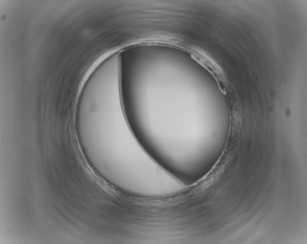 X0000080730948200612151221