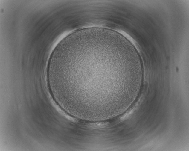 X0000080730949200612151221